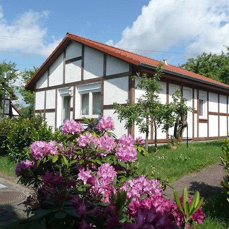 Ferienhaus Kogge Im Feriendorf Alt Bachenbrock Zewnętrze zdjęcie